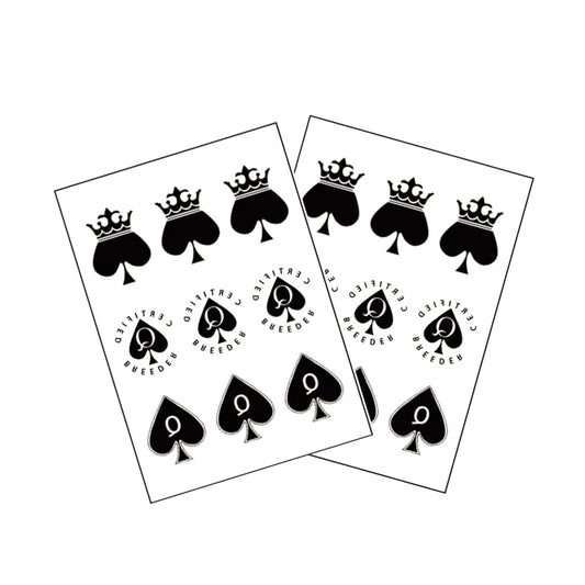 TEMPORARY TATTOO PACK x5