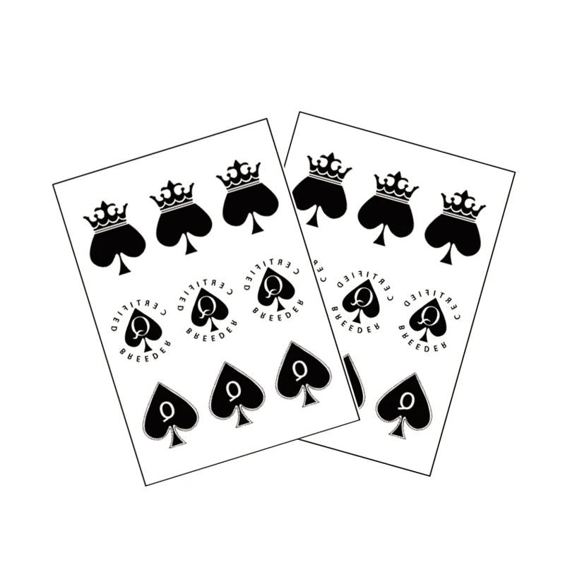 TEMPORARY TATTOO PACK x5